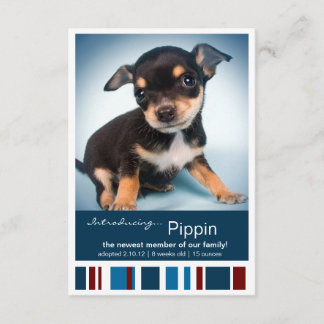 Faire-part Nouveau Pet Homme Bleu Stripes pour Garçon Faire-p