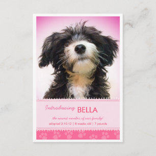 Faire-part Nouveaux empreintes de pattes de rose d'animal