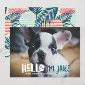 Faire-part Nouvelle annonce d'adoption d'animal de compagnie (Devant / Derrière)