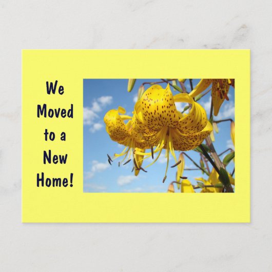 Faire-part Nouvelle carte postale d'adresse Déplacée vers les (Devant)