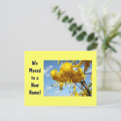 Faire-part Nouvelle carte postale d'adresse Déplacée vers les (Debout devant)