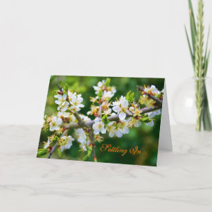 Faire-part Nouvelle maison - Baubépine de printemps dorée au 