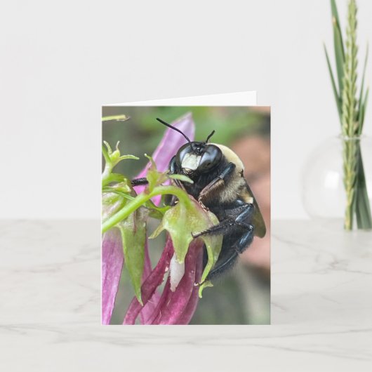 Faire-part Occupé comme une abeille (Devant)