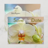 Faire-part Orchidée • Carte postale de sauvegarde de date (Devant / Derrière)