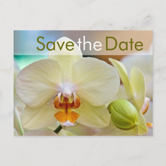 Faire-part Orchidée • Carte postale de sauvegarde de date (Devant)