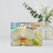 Faire-part Orchidée • Carte postale de sauvegarde de date (Debout devant)