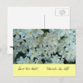 Faire-part Paperwhite Narcissus "Save the Date" Carte postale (Devant / Derrière)