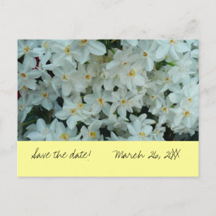Faire-part Paperwhite Narcissus "Save the Date" Carte postale