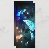 Faire-part Papillon de nuit (Devant / Derrière)