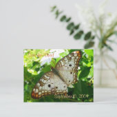 Faire-part Papillon Enregistrer la Date sur Carte Postale de  (Debout devant)