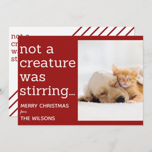 Faire-part pas une créature ne remuait les photos rouges noël (Devant / Derrière)