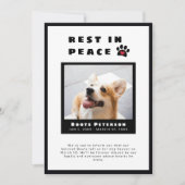 Faire-part Pawprint Coeur Repos En Paix Pet Perte Photo (Devant)