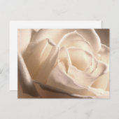 Faire-part personnalisés Rose Blanche (Devant / Derrière)