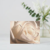 Faire-part personnalisés Rose Blanche (Debout devant)