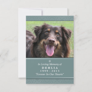 Faire-part Pet Memorial Card 3.5x5 Prière Turquoise pour anim