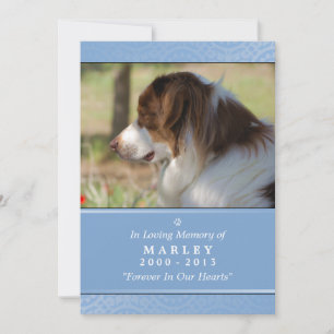 Faire-part Pet Memorial Card 5"x7" Bleu clair Prière pour ani