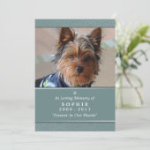 Faire-part Pet Memorial Card 5x7 Prière Turquoise pour animau (Debout devant)