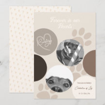 Pet Memorial Moderne Simple Célébration de la vie