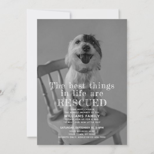 Faire-part photo d'adoption secourue d'animal de c (Devant)