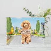 Faire-part Poodle Nous avons déplacé une nouvelle adresse mig (Debout devant)