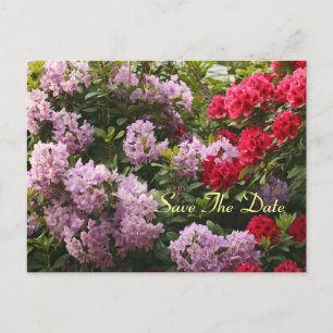 Faire-part Rhododendron Élégant Sauvez La Carte Postale Du Jo