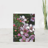 Faire-part Save (Dos)