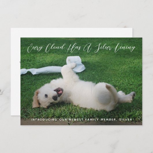 Faire-part Silver Lining Photo Pet Adoption (Devant / Derrière)