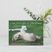 Faire-part Silver Lining Photo Pet Adoption (Debout devant)