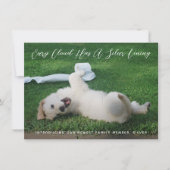 Faire-part Silver Lining Photo Pet Adoption (Devant)