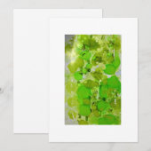 Faire-part simple (Devant / Derrière)