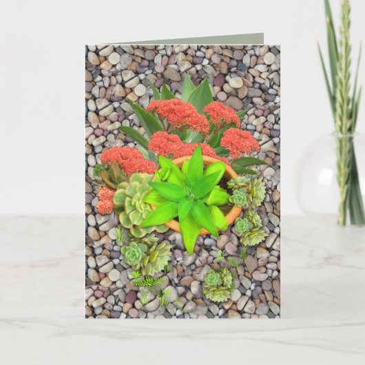 Faire-part Succulents sur galets de jardin (Devant)