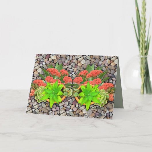 Faire-part Succulents sur galets de jardin (Devant)
