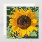 Faire-part Sunflower (Devant / Derrière)