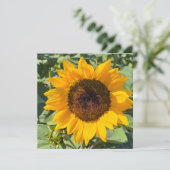 Faire-part Sunflower (Debout devant)