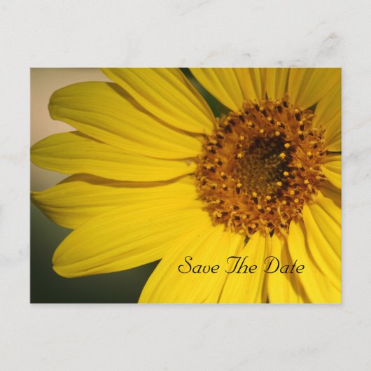 Faire-part Sunflower Enregistrer la date Carte postale (Devant)