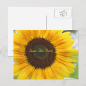 Faire-part Sunflower Enregistrer la date Carte postale (Devant / Derrière)