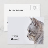 Faire-part Tiffany Nous avons déménagé Nouvelle carte postale (Devant / Derrière)
