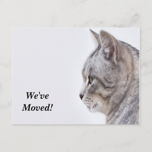 Faire-part Tiffany Nous avons déménagé Nouvelle carte postale (Devant)