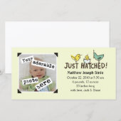 Faire-part Tout juste éclos ! Annonce de bébé (Devant / Derrière)