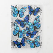 Faire-part Trois Volets Composition des White and Blue Butterflies (Page de couverture)