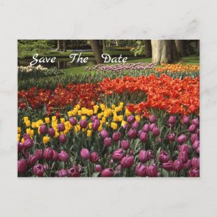 Faire-part Tulips Enregistrer La Date Annonce Carte Postale