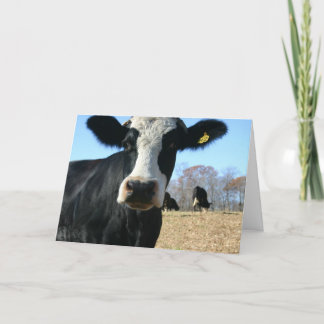 Faire-part Vache Sainte Nous Avons Déménagé