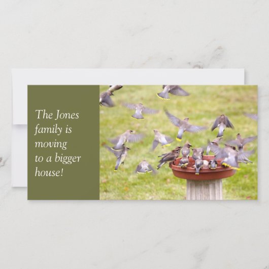 Faire-part Vestiges de cèdre râpés (Devant)