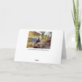 FAIRE-PART VOUS ATTENDIEZ-VOUS À BIGFOOT ? 3 (Dos)