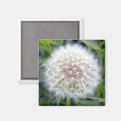 Faire un aimant de souhait (Recto/Verso)