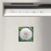 Faire un aimant de souhait (In Situ (Lave-vaisselle))