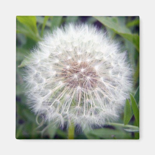 Faire un aimant de souhait (Devant)