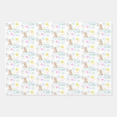 Faire un papier d'emballage de souhaits ensemble d (Devant 2)