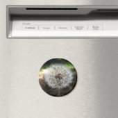 Faire un voeu - Magnet (In Situ (Lave-vaisselle))