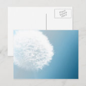 Faire Une Carte Postale Dandelion Souhaitable (Devant / Derrière)